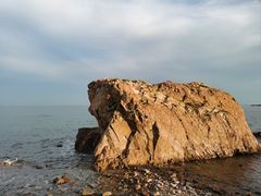 -小麦岛公园