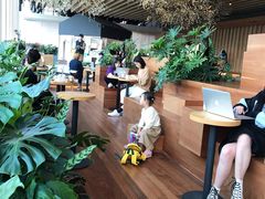 大堂-Seesaw Coffee(朝阳大悦城店)