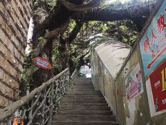 -九里香奶茶果汁(碧湖店)