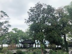 -杭州西湖柳莺里酒店