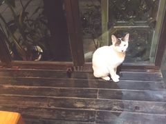 -山色西餐·柴火烤披萨