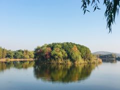 -上海市保健医疗中心