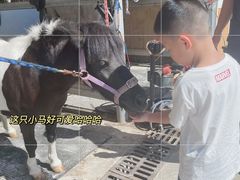 -名驭国际马术学院