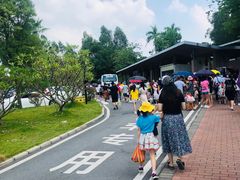 -美的鹭湖探索王国
