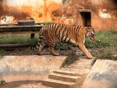-昆明动物园