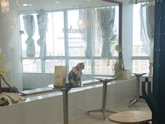 -共舞时光猫咖·狗咖(新街口店)