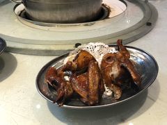-南海鸽天下(肇庆店)