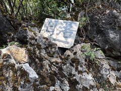 -大面山