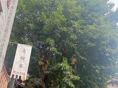 -重庆十八梯传统风貌区