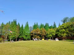 -上海滨江森林公园