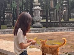 -四门塔风景区