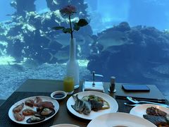 -海棠湾洲际-涛·海底餐厅·美人鱼·自助餐·海底隧道
