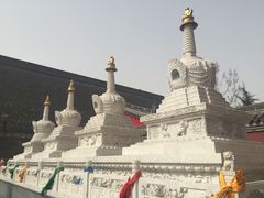 -骏途旅游
