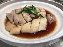 姜葱白切鸡-山东老家(科韵分店)