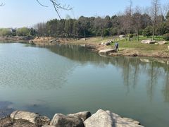 -贡湖湾湿地公园