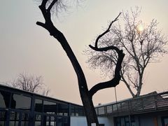 -北京国子监胡同