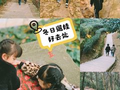 -西湖风景区十里琅珰-五云山