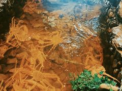 -綱元·海鲜豆捞(明州里店)