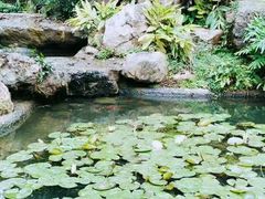 -晓港公园