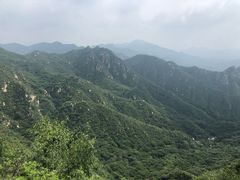 -大岭沟猕猴桃谷风景区