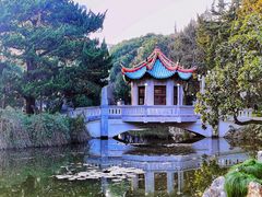 -叶家花园