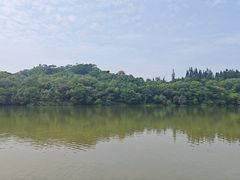 -深圳仙湖植物园