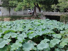 -水绘园