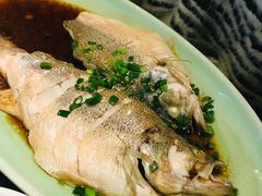 -新白鹿餐厅(悠迈生活广场店)