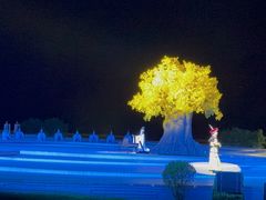 -鼎盛王朝康熙大典实景演出