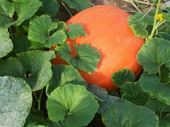 -天源吉布世温泉水乐园