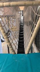 -奈尔宝家庭中心·亲子餐厅(苏州大悦城店)