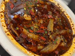 情妹耙泥鳅-情妹耙泥鳅·江湖川菜(科华店)