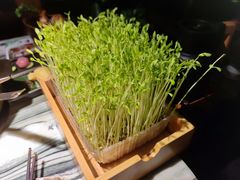 -大头椰·椰子鸡火锅(南宁万象城店)