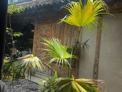 -院子餐厅·大锅菜·老杭帮(桥西直街店)