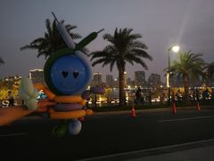 -野狸岛