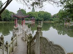 -青龙山国家森林公园