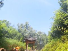 -雪山彩虹谷景区