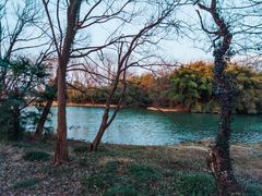 -西溪国家湿地公园