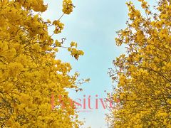 -佛山市三水温泉度假村
