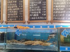 水产区-喜来酌海鲜·饺子(和平一店)