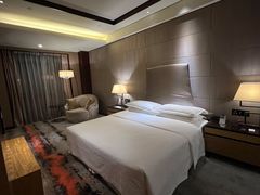 -西安赛瑞喜来登大酒店