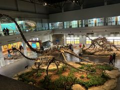 -自贡恐龙博物馆
