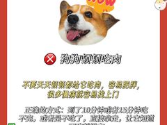 -佩兹宠物医院肿瘤专科·眼科·牙科(黄浦店)