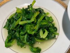 -蝶园·装修中(BFC外滩金融中心店)