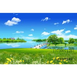 -薇兰专业脱毛连锁机构