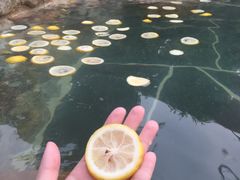 -观唐（国际）度假村温泉