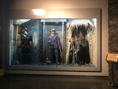 -陕西自然博物馆