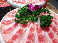 土猪五花肉-豪渝火锅(红谷滩万达店)