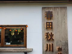 -塔川景区