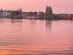 -鹅湖玫瑰文化园